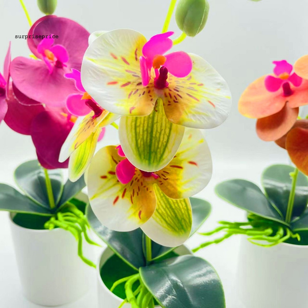 Chậu Trồng Cây Nhân Tạo Bằng PVC Chống Trơn Trượt