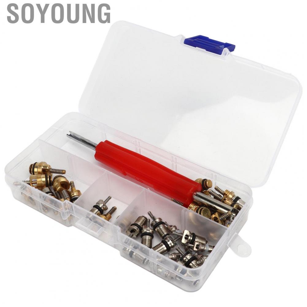 Soyoung AC Valve Core Repair Set  Multipurpose Refrigeration Tire Stem Lightweight Aluminium Copper 41Pcs Portable with Remover for Car Home