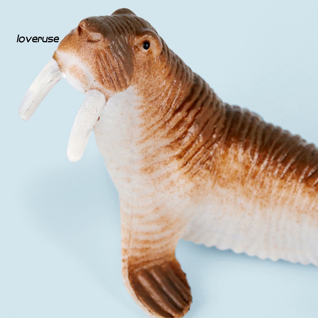 Set 12 Mô Hình Động Vật Biển Dễ Thương