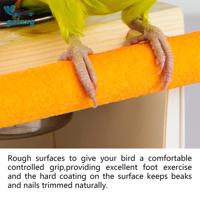 Galaxy Bộ Đồ Chơi Tương Tác Vui Nhộn Cho Vẹt