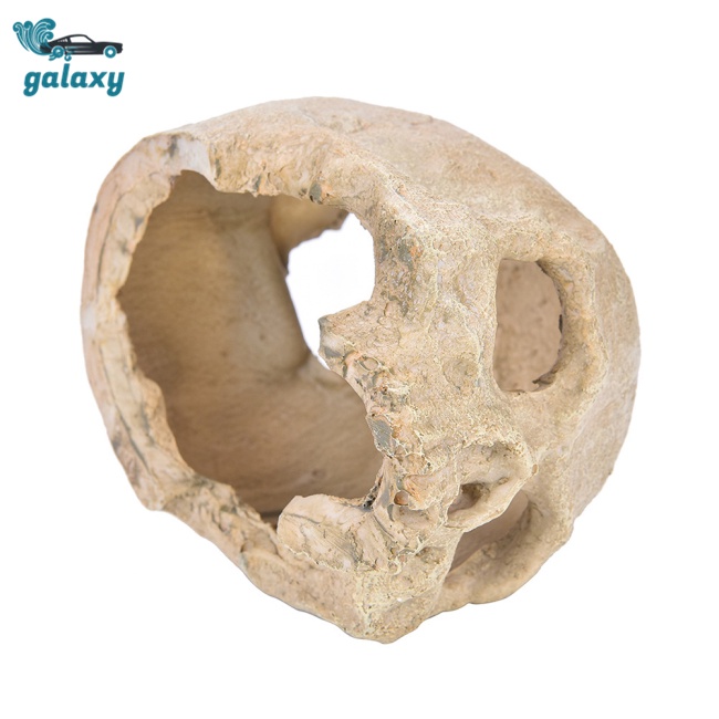 Galaxy Mô Hình Đầu Lâu Người Cho Bể Cá