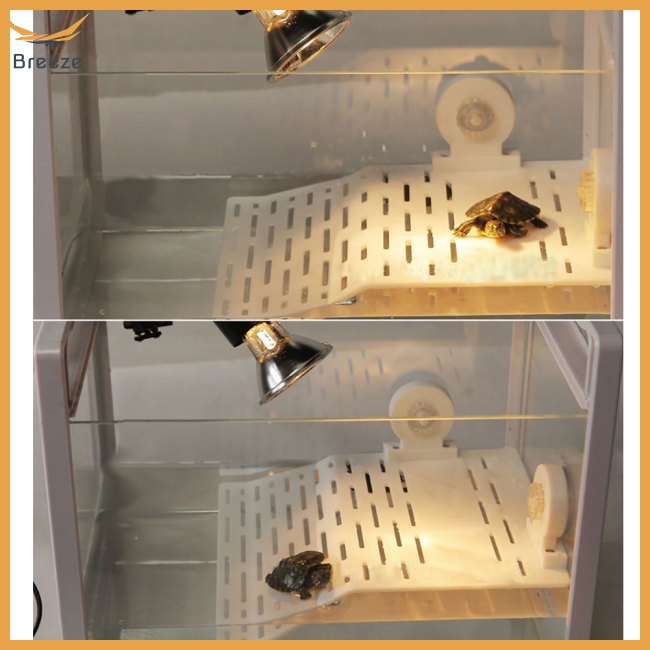 Bệ Đỡ Trang Trí Bể Nuôi Rùa Có Đĩa Hút Chinampa Basking (Vừa)