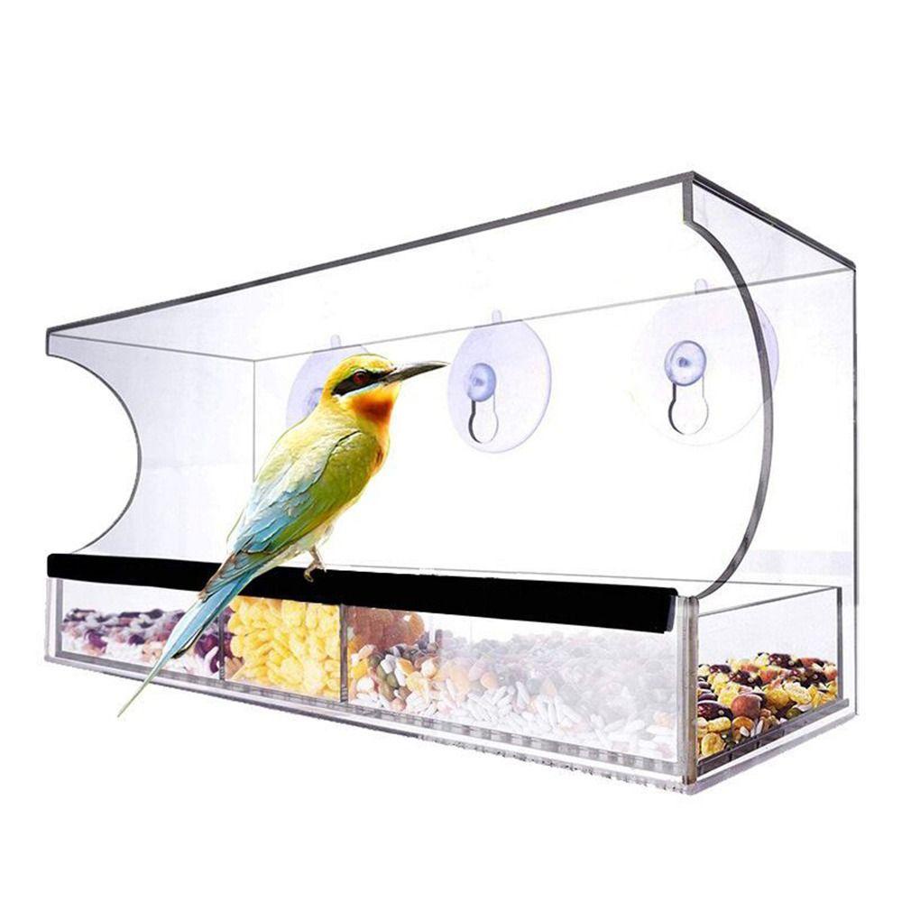 Dụng Cụ Đựng Thức Ăn Cho Chim Có Giác Hút Treo Tiện Dụng
