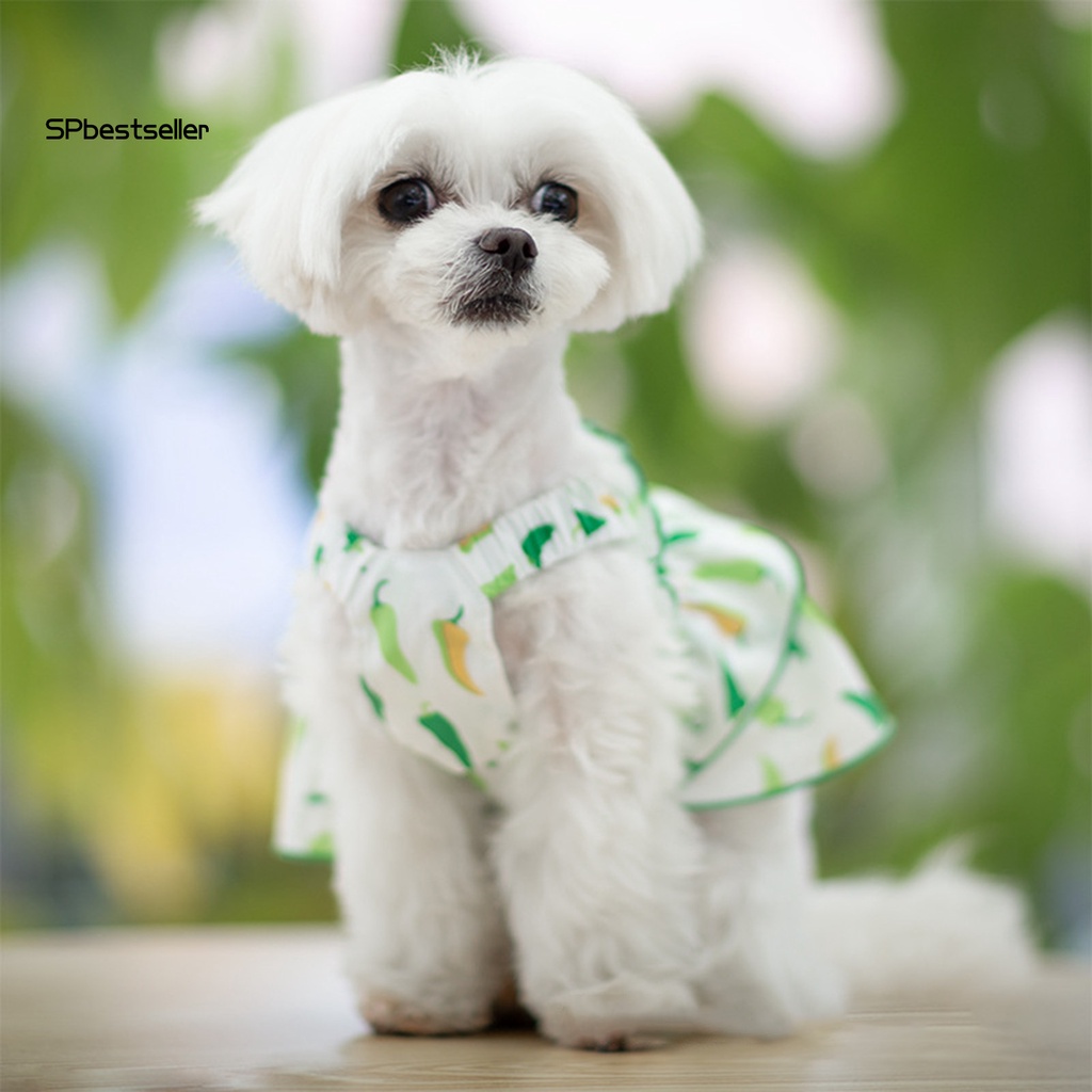 Spbestsellkr Đầm Cotton Dệt Kim Mịn Họa Tiết Quả Ớt Sáng Tạo Trang Trí Thú Cưng Mặc Hàng Ngày