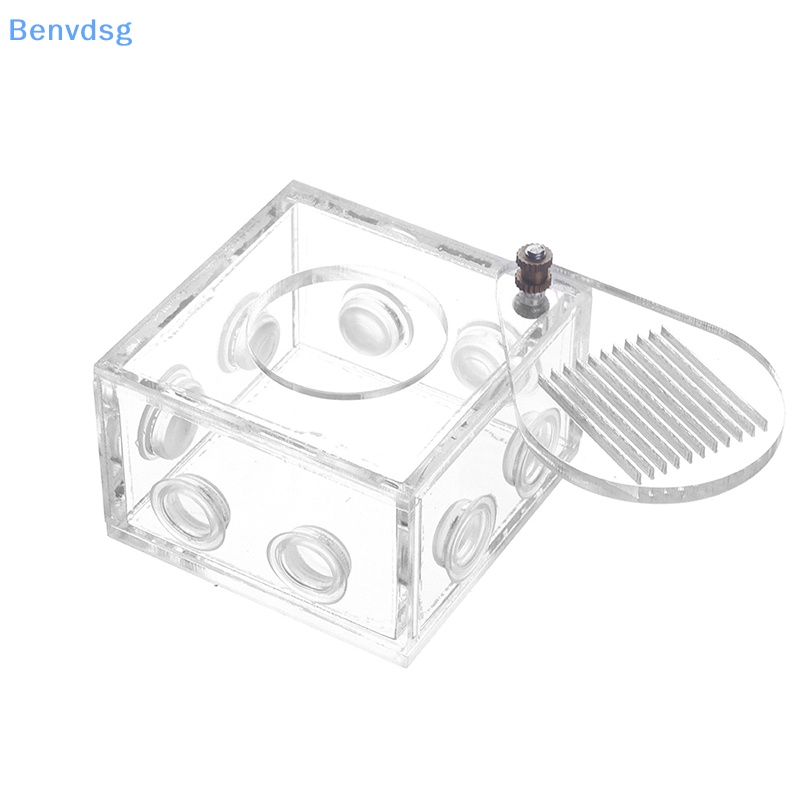 Benvdsg > Phụ Kiện Ống Nghiệm Bằng Acrylic Trong Suốt Độc Đáo DIY