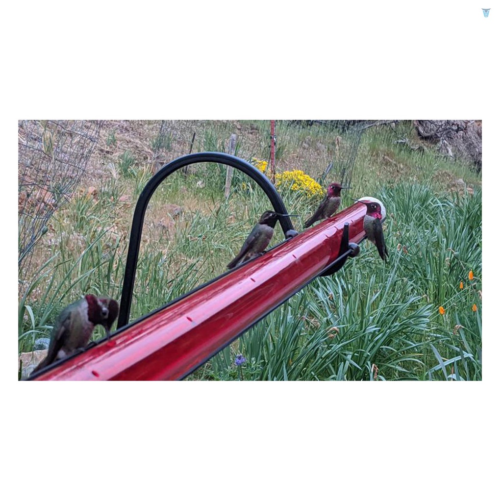 Dụng Cụ Cho Chim Ăn Màu Đỏ Trong Suốt 40cm / 15.7in Tiện Dụng