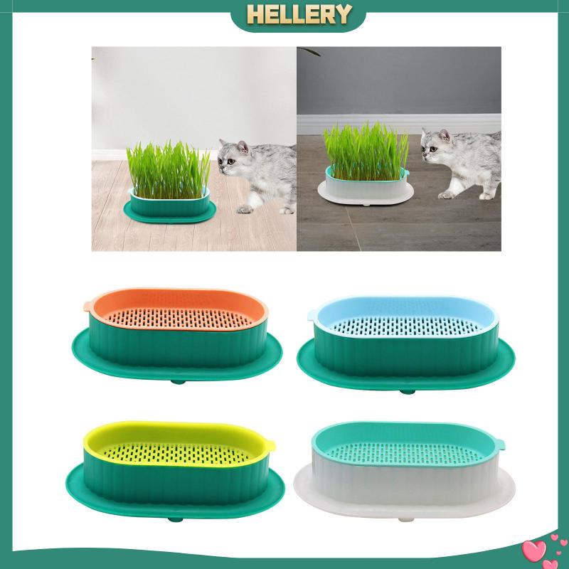 Khay Gieo Hạt Tiện Dụng Cho Nhà Kính