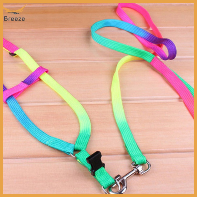 Dây Dắt Thú Cưng Đi Dạo Thiết Kế Dễ Thương Rộng 1.0cm