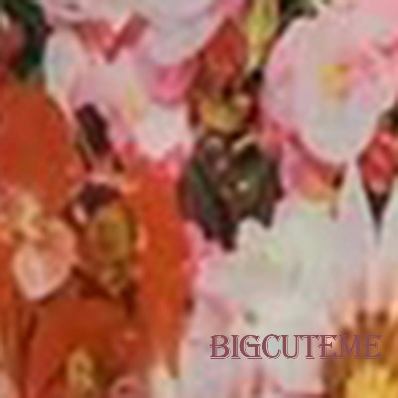 Đầm Lưới Không Tay In Hoa Thời Trang Mùa Hè Dành Cho Nữ