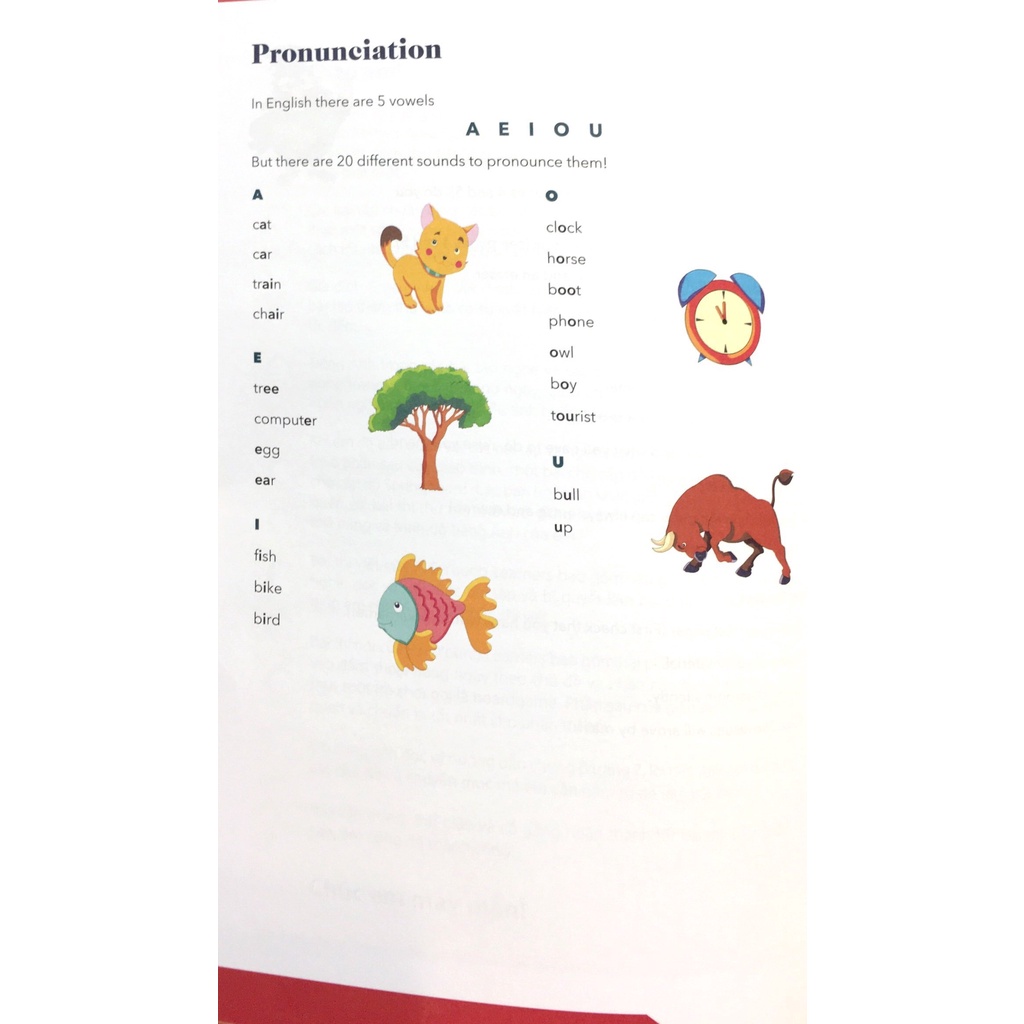 PTE Young Learners Firstwords & Springboard Vietnam