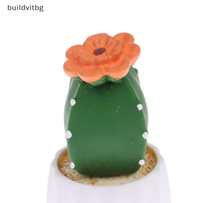 Chậu Cây Xương Rồng Nhỏ Dùng Trang Trí Xe Hơi Dễ Thương