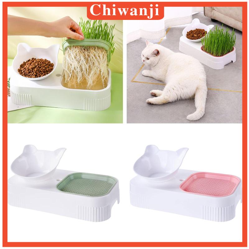 Khay Cỏ / Trồng Cây Cho Mèo Tiện Dụng