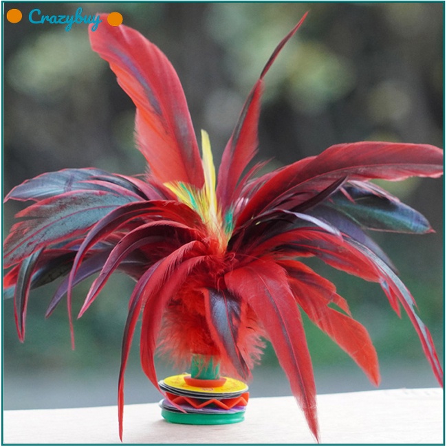 Cr Set 3 Lông Vũ Nhiều Màu 20cm Phong Cách Trung Hoa