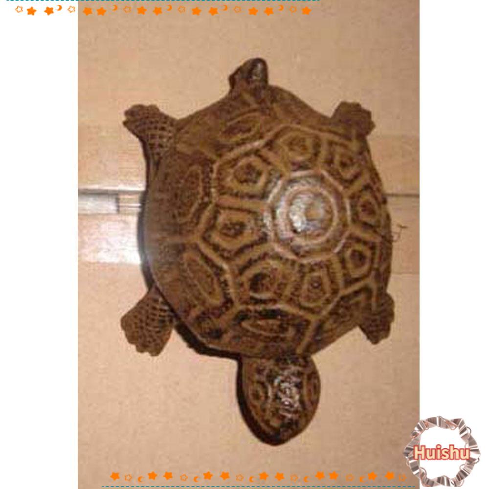 HS Hộp Đựng Chìa Khóa Bằng Nhựa Resin Hình Rùa Xám Trốn Tìm a-Spare-Key Trang Trí Sân Vườn