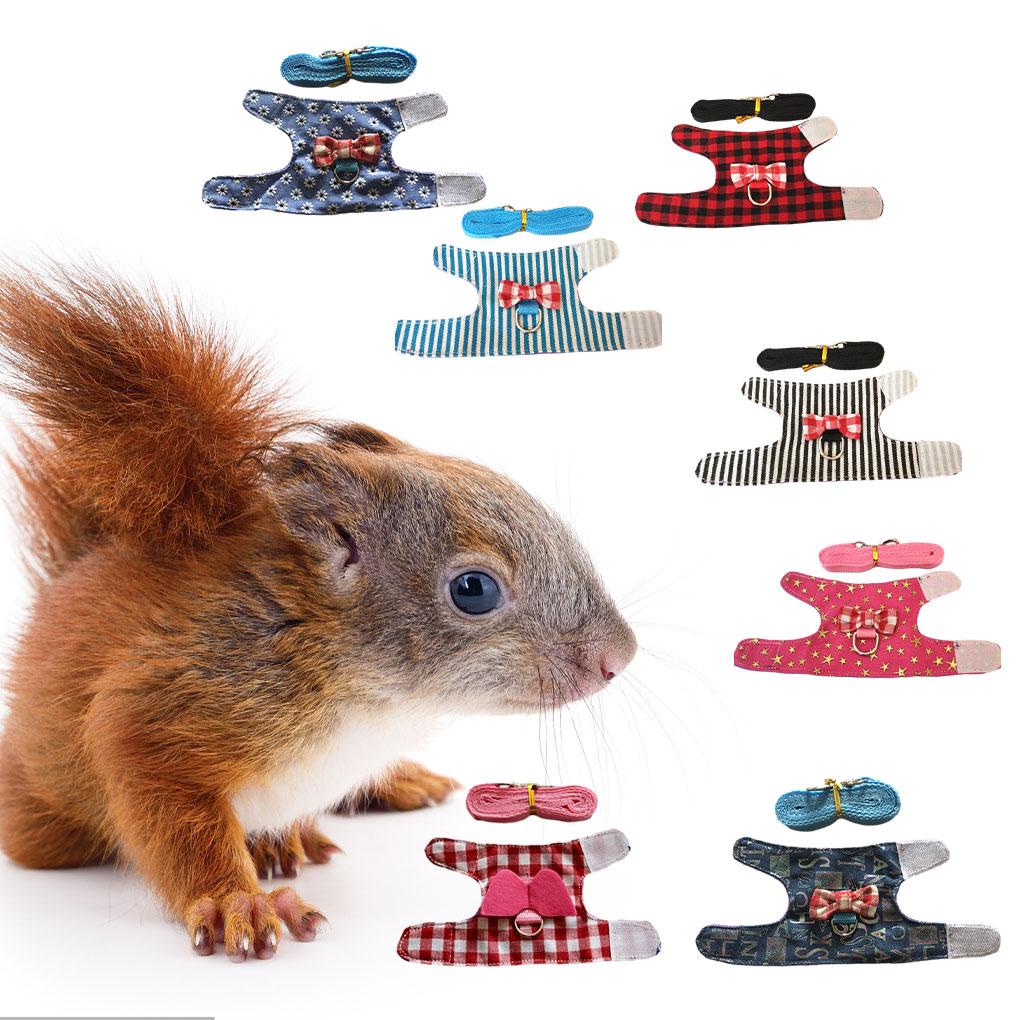 Dây Đai Dắt Thỏ / Chuột Hamster Bằng Polyester Đáng Yêu Kèm Hộp Màu Đỏ XS 1