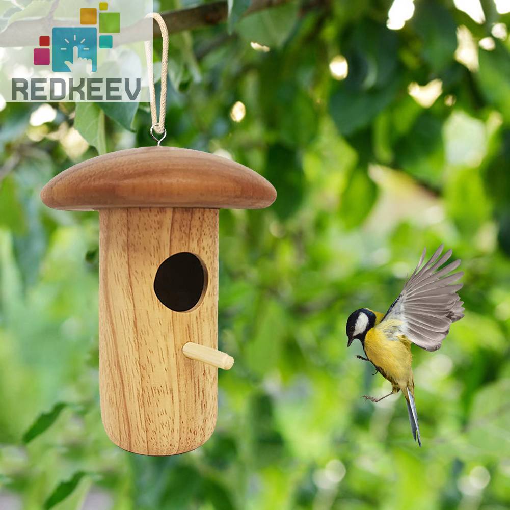 Dụng Cụ Cho Chim Ăn Hình Nấm Bằng Gỗ Sáng Tạo