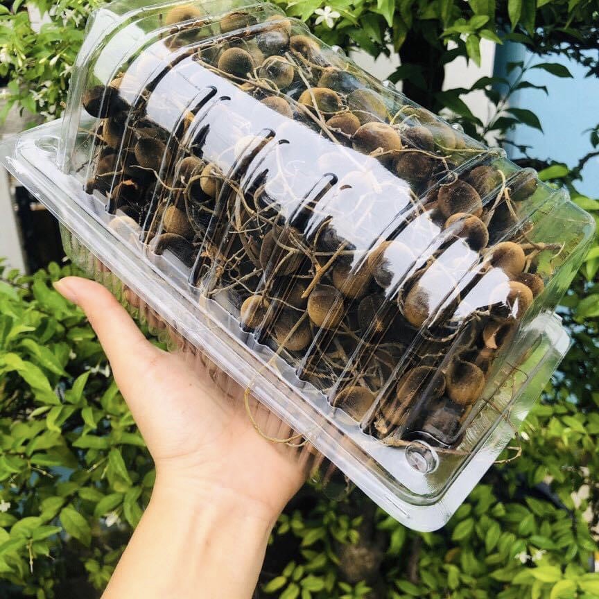 Trái nhung rừng, trái say nhung, quả xay rừng chua chua ngọt ngọt 500GR Bách Hóa Đô Sài Gòn