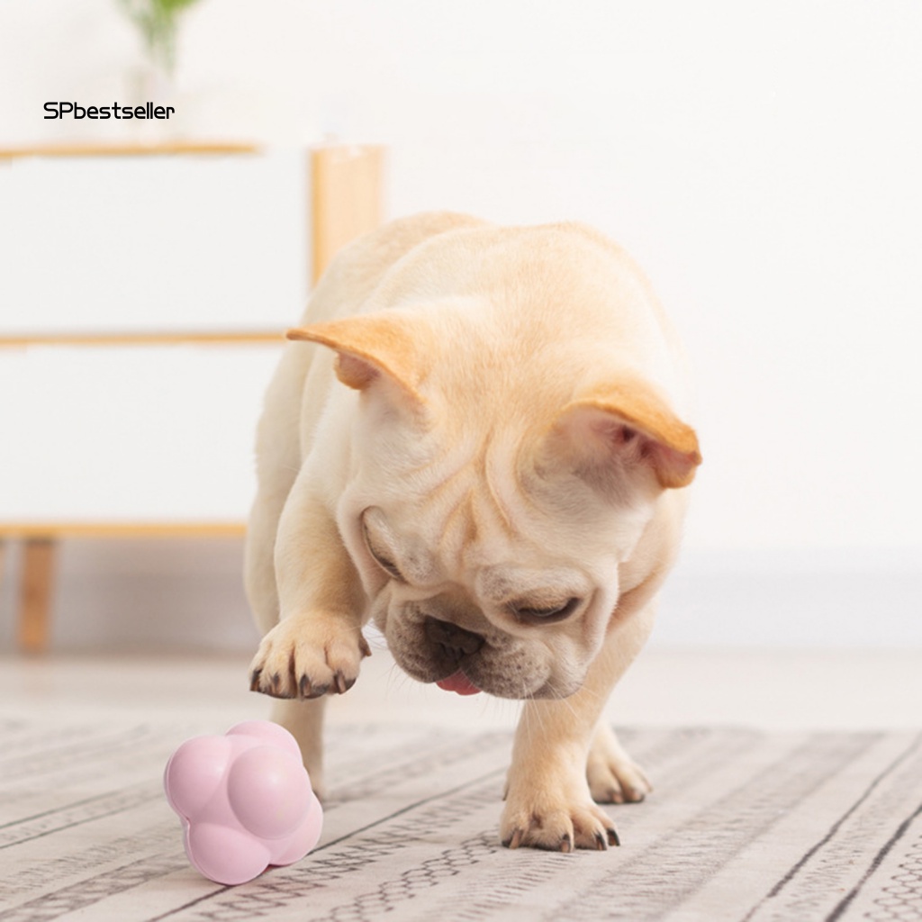 Bóng Cao Su Đồ Chơi Trong Nhà Chống Cắn Siêu Bền Độc Đáo Cho Thú Cưng