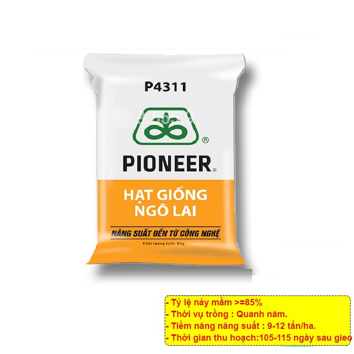HẠT GIỐNG NGÔ LAI ĐƠN P4311 GÓI 1KG - GIỐNG CHUẨN, NĂNG SUẤT CAO DỄ TRỒNG NHANH ĂN