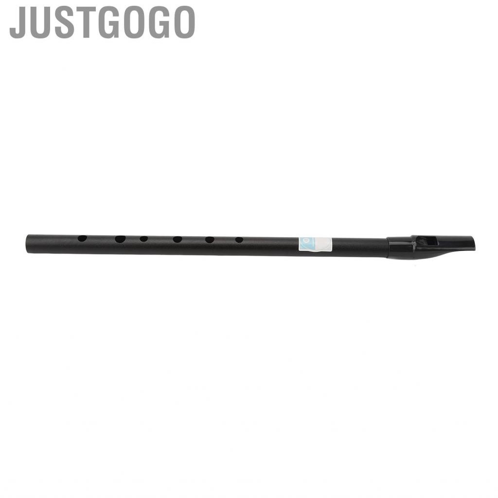 Justgogo D Tinwhistle  Precise Holes Whistle Flute Clear  Accurate  Easy Tuning for Performances
