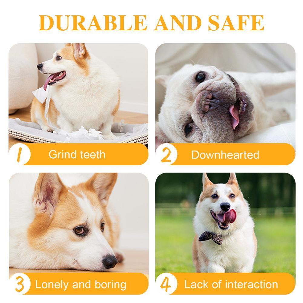 Đồ Chơi Bóng Lăn Tự Động Thông Minh Sạc USB H7N9 Dành Cho Mèo Cưng