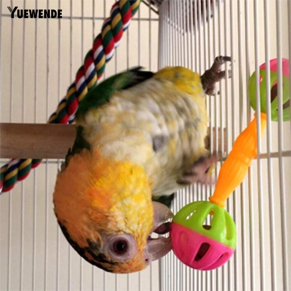 Lục Lạc Đồ Chơi Hai Đầu Gắn Chuông Xinh Xắn Dành Cho Chim Vẹt