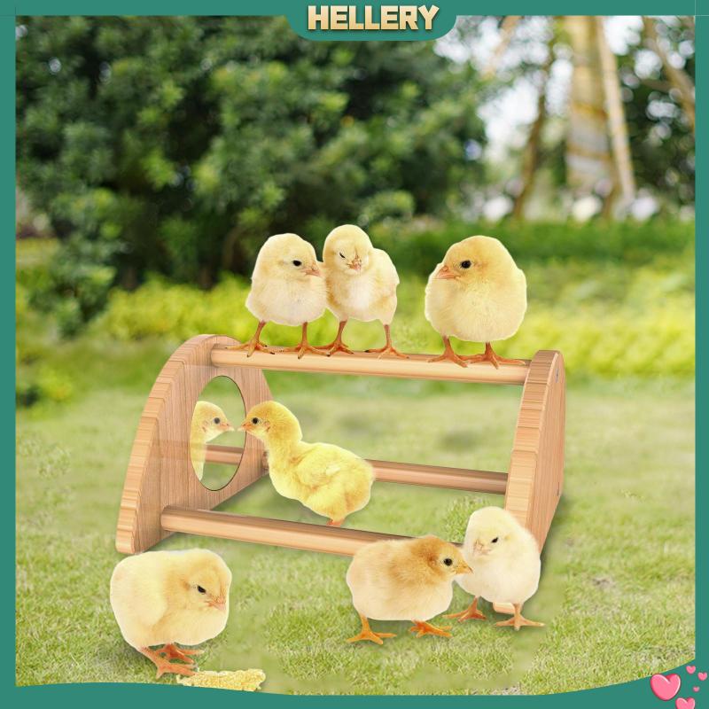 Giá Đỡ Gà Bằng Gỗ Dùng Huấn Luyện Chim Cảnh Tiện Dụng