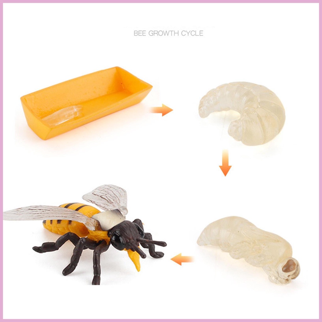 Set 12 Tượng Côn Trùng Đồ Chơi Cho Bé