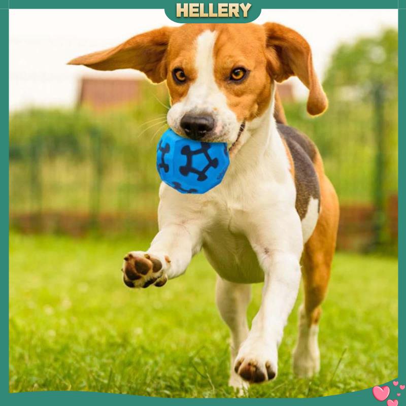 Đồ Chơi Bóng Gặm Tương Tác Siêu Bền Vui Nhộn Cho Thú Cưng