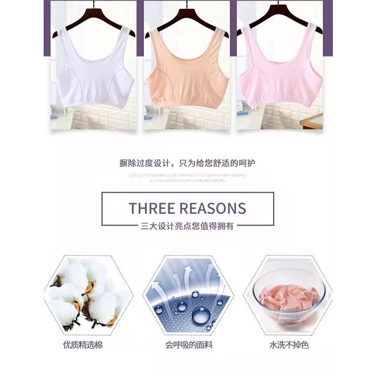 Áo Lót Cotton Không Gọng Thời Trang Mùa Hè Dành Cho Nữ