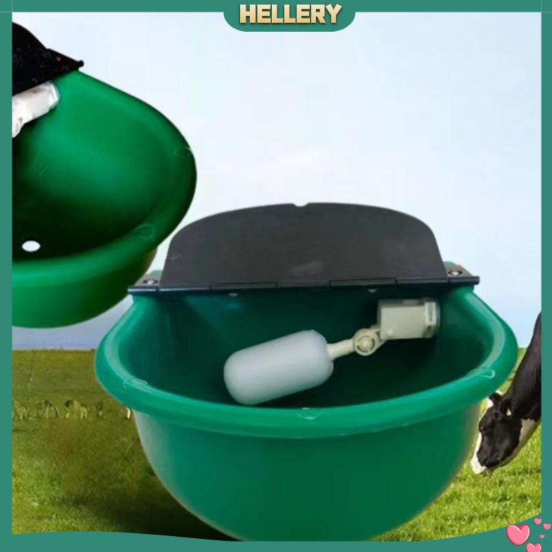 Máy Uống Nước Tự Động Cho Thú Cưng