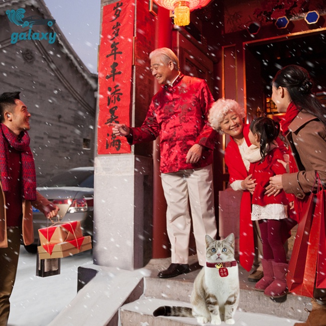 Galaxy Vòng Cổ Có Chuông Và Nơ Xinh Xắn Cho Thú Cưng