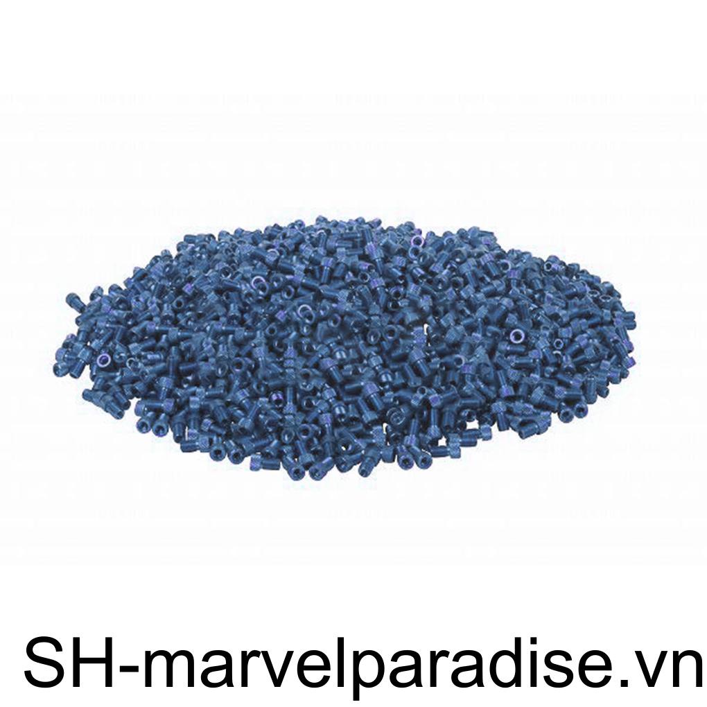 [MAPD] Set 5 Van Chuyển Đổi Thuận Tiện Để Lắp Đặt Nắp Máy Bơm Presta Sang Schrader