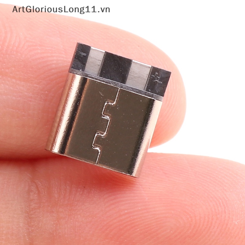 Set 10 Đầu Nối Ổ Cắm USB Loại C 2 Chấu 3A Chuyên Dụng