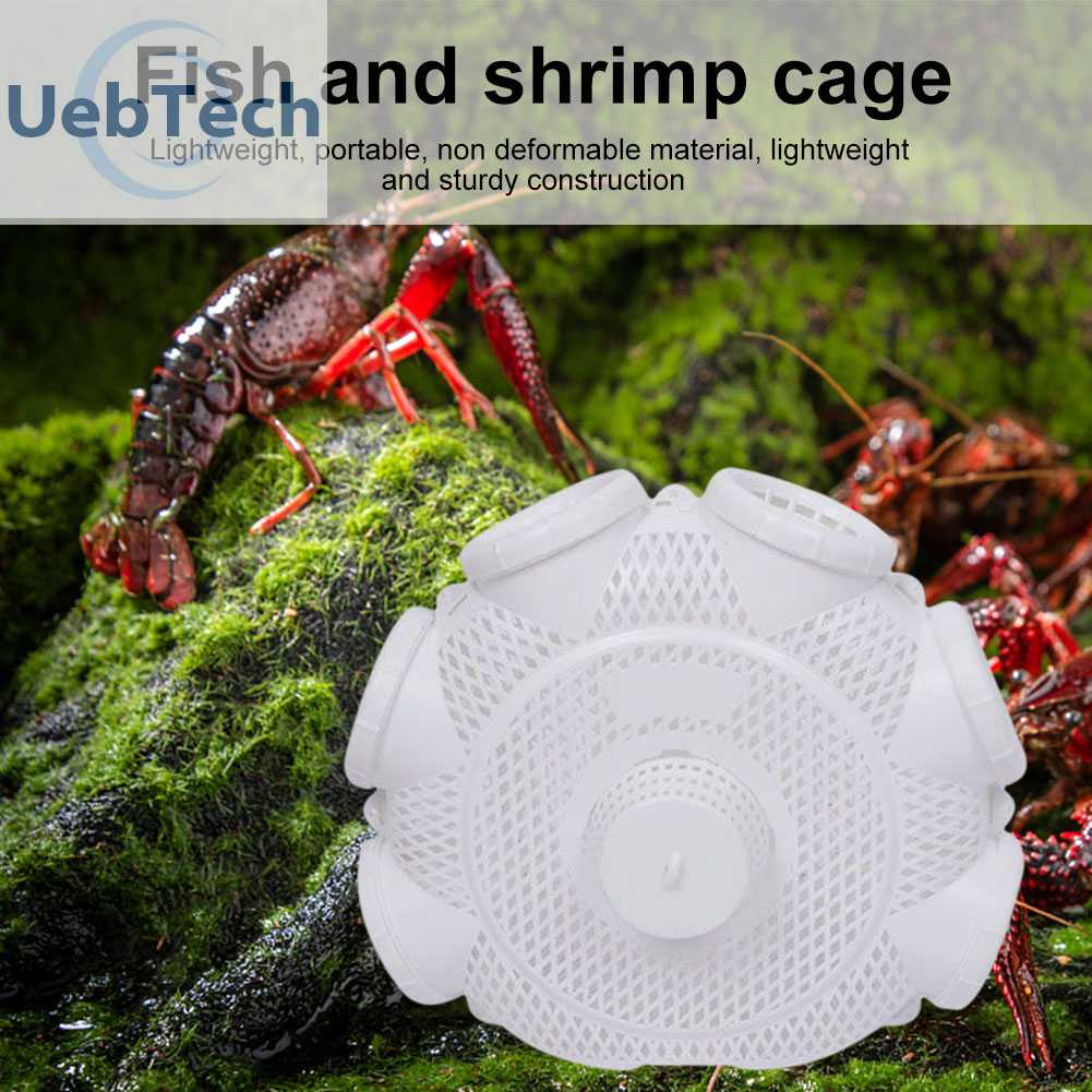 Lồng Bẫy Cá Hình Chiếc Sừng Gọn Nhẹ Tiện Dụng