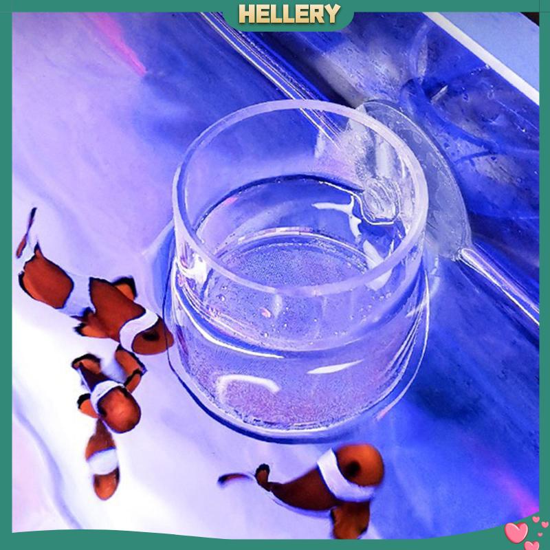 Ống Cho Cá Ăn Bằng Acrylic Trong Suốt Tiện Dụng