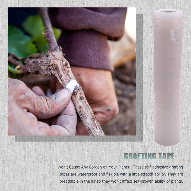 10 Cuộn Băng Keo Ghép Nối Cho Cây Trồng Có Thể Phân Hủy Sinh Học Trong Suốt 3cm