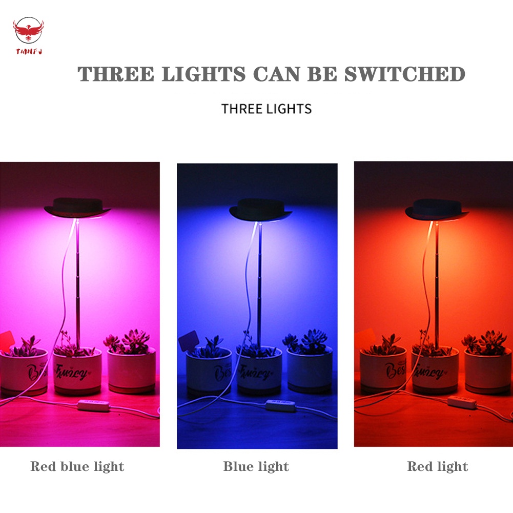 Đèn Led Trồng Cây Đa Năng Cổng USB Dùng Cho Phòng Khách / Văn Phòng