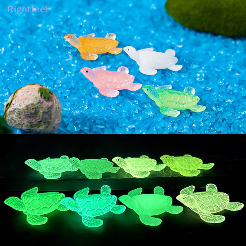 Set 2 Tượng Rùa Mini Bằng Nhựa Resin Dạ Quang Trang Trí Tiểu Cảnh / Xe Hơi Mới