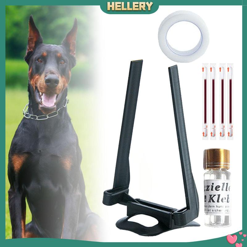 Giá Đỡ Cố Định Tai Chó Hỗ Trợ Chăm Sóc Tai Tiện Dụng