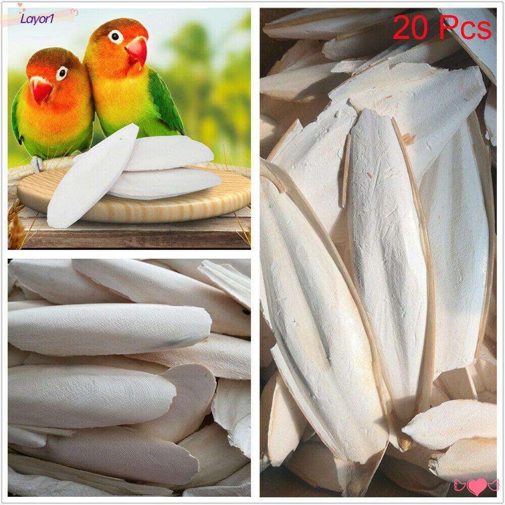 LAYOR1 20 Xương Cá, Ốc Sên, Dùng Cho Chim, Bồ Câu