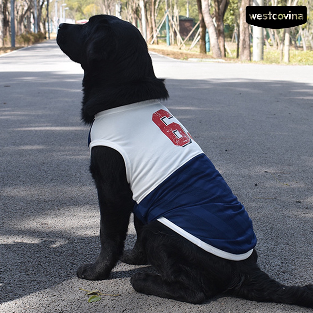 [COD]♞Áo Tank Top Thể Thao Thấm Hút Mồ Hôi Nhanh Khô Cho Thú Cưng