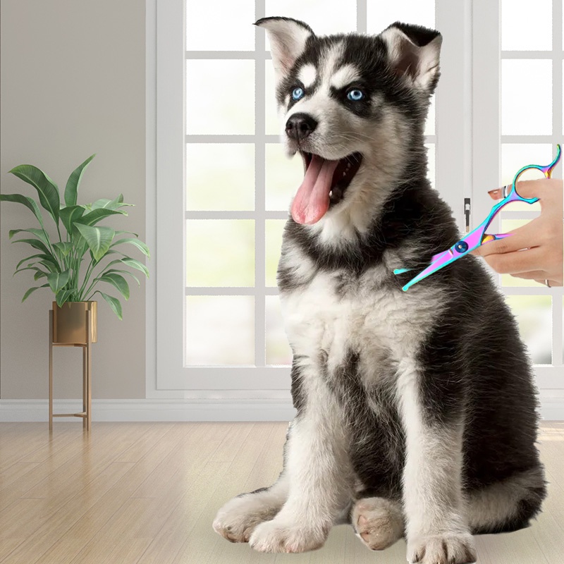 HamshMoc Lược Chải Lông 5 Trong 1 Bằng Thép Không Gỉ Chuyên Nghiệp An Toàn Cho Thú Cưng