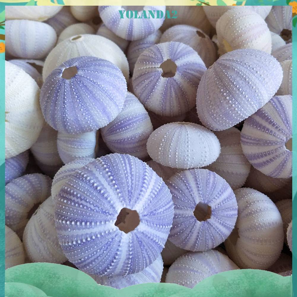 Bộ 5 Giá Đỡ Chậu Cây Cảnh Thiết Kế Sáng Tạo