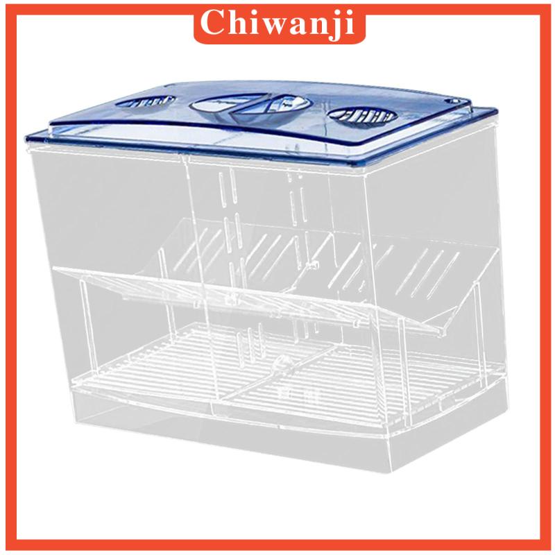 Hộp Nuôi Cá Dễ Sử Dụng Cho Văn Phòng Guppy Betta