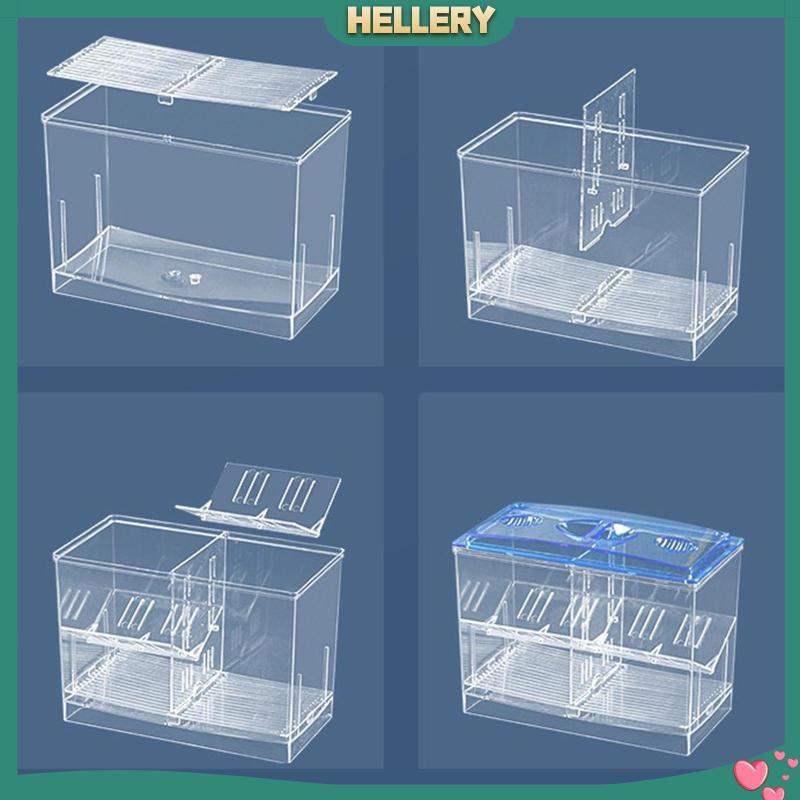 Hộp Nuôi Cá Dễ Sử Dụng Cho Văn Phòng Guppy Betta