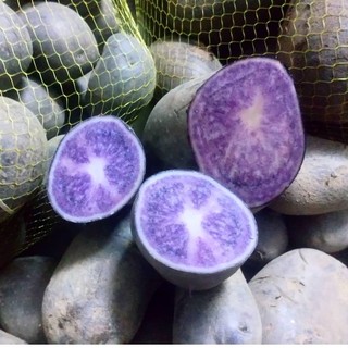 HẾT HÀNG SẢN PHẨM
