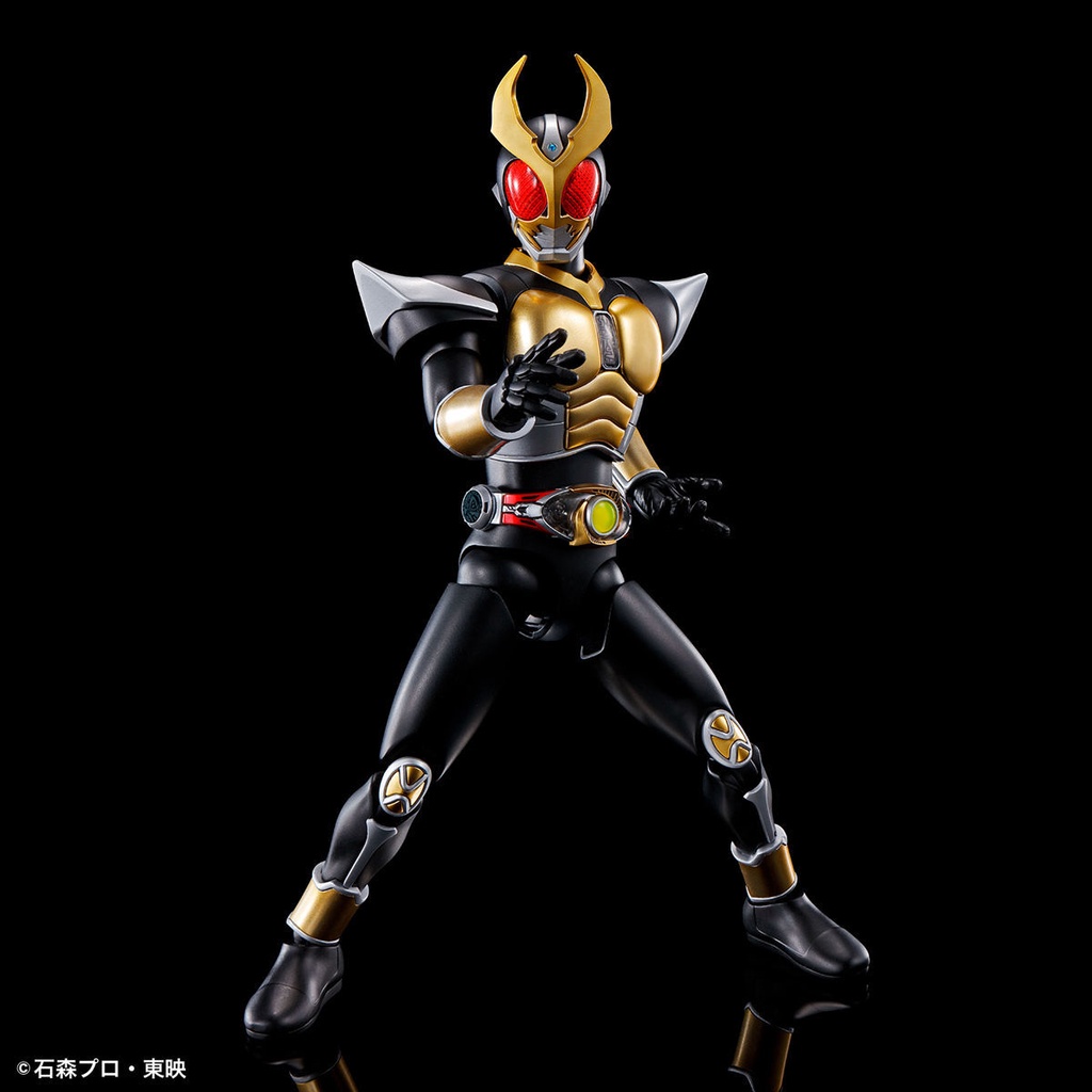 Mô Hình Lắp Ráp Nhân Vật Bandai FRS Kamen Rider AGITO AGITO Earth
