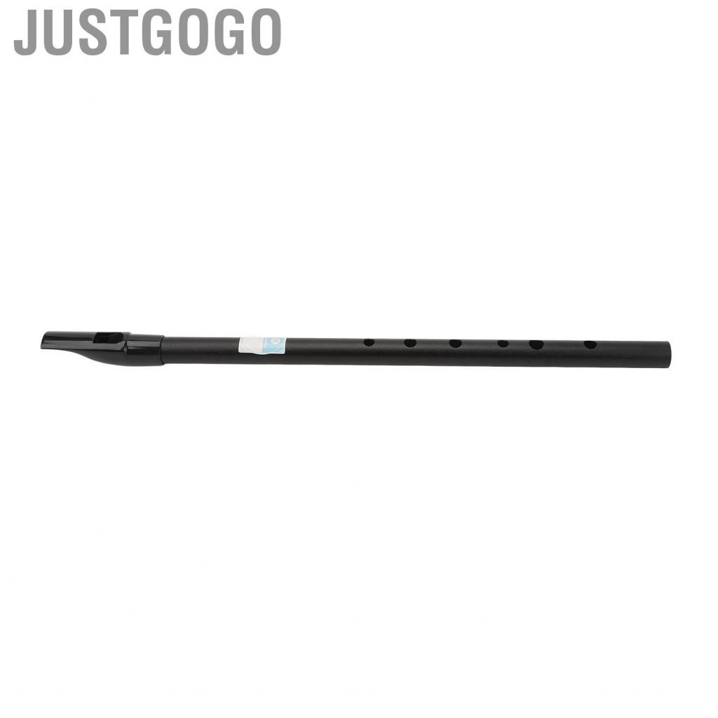 Justgogo D Tinwhistle  Precise Holes Whistle Flute Clear  Accurate  Easy Tuning for Performances