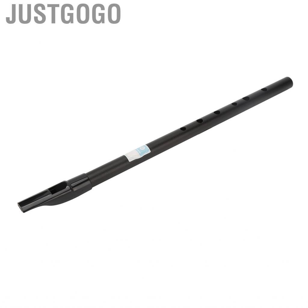 Justgogo D Tinwhistle  Precise Holes Whistle Flute Clear  Accurate  Easy Tuning for Performances